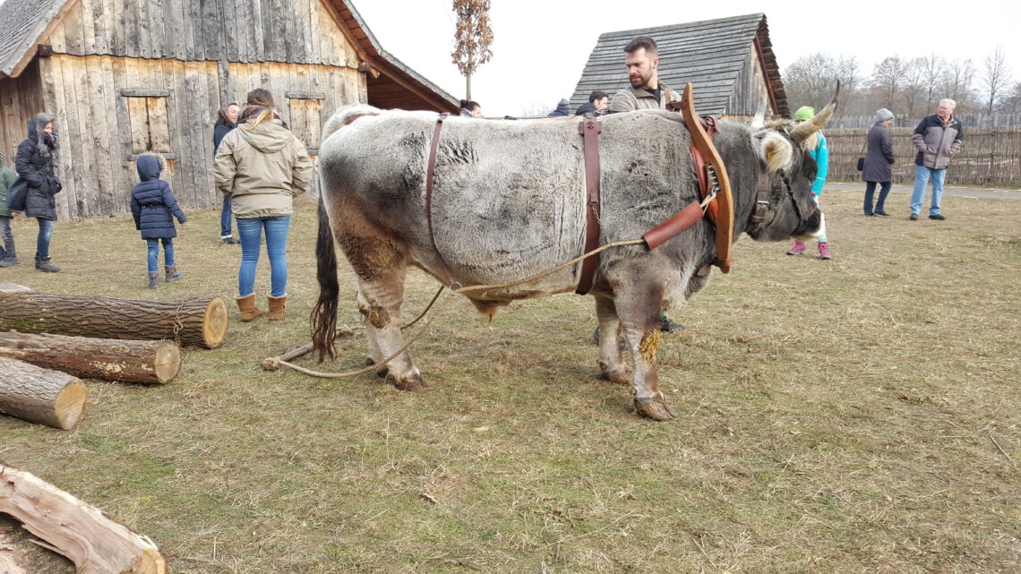 19.01.2017 – Lauresham