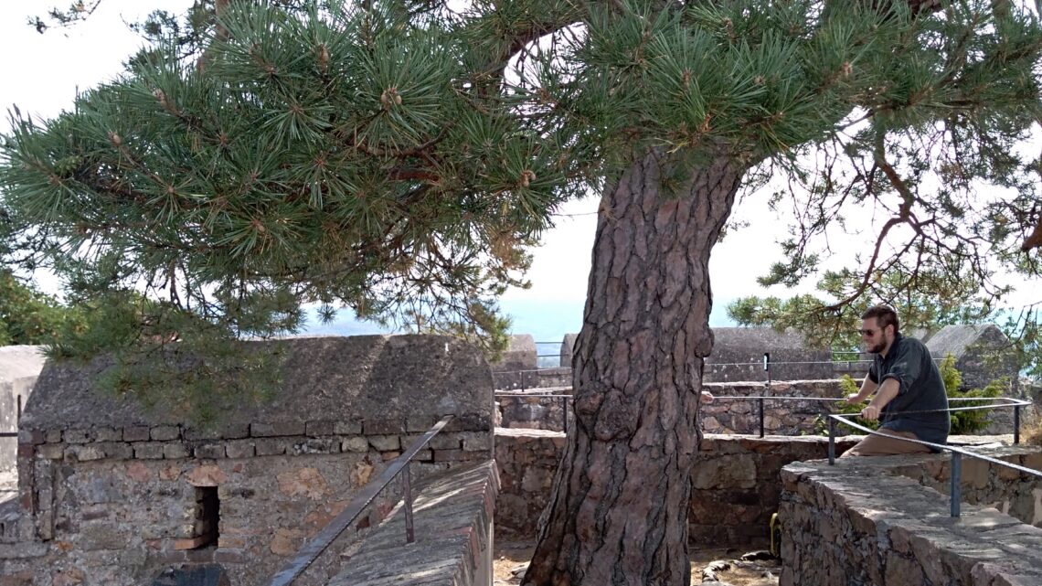 29.07.2018 – Schloss Auerbach