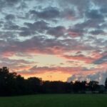 01.-04.07.2022 - Bockhorn