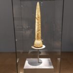 03.10.2022 - Germanisches Nationalmuseum Nürnberg