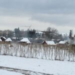 22.01.2023 - Lauresham im Winter