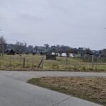 25.01.2026 - Lauresham