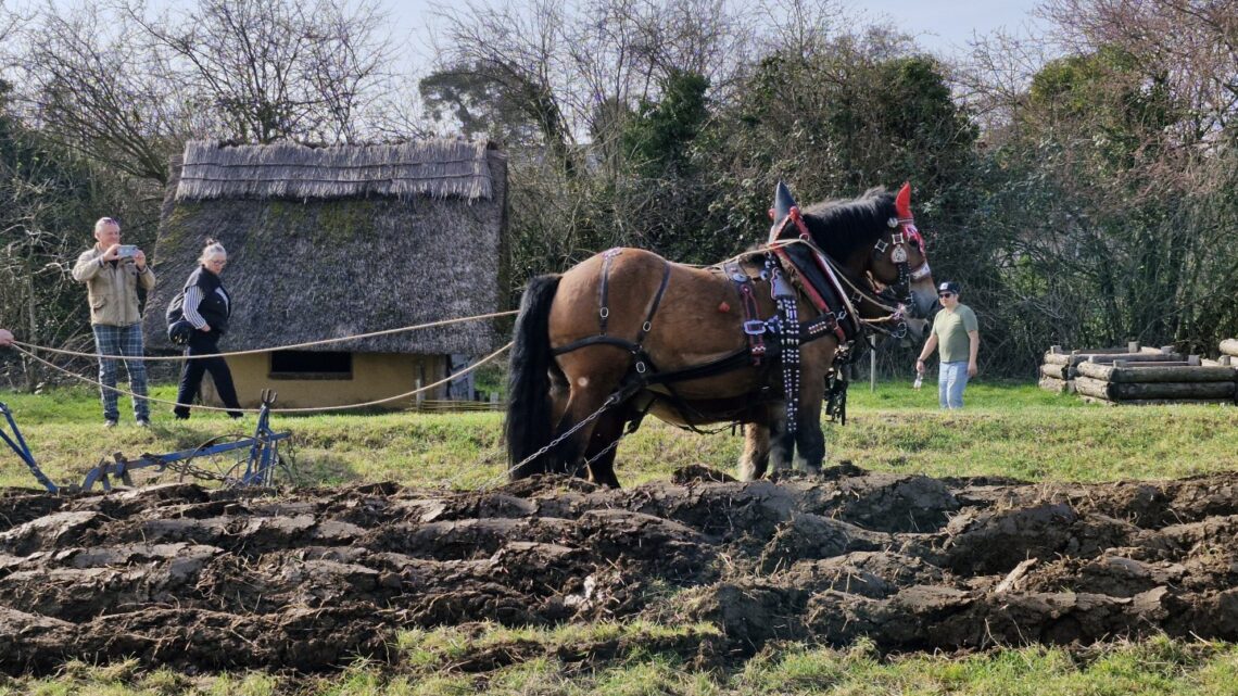 08.03.2026 – Frühlingsfest in Lauresham