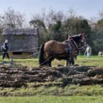 08.03.2026 - Frühlingsfest in Lauresham