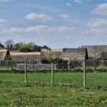 03.04.2026 - Ernährung im Frühmittelalter